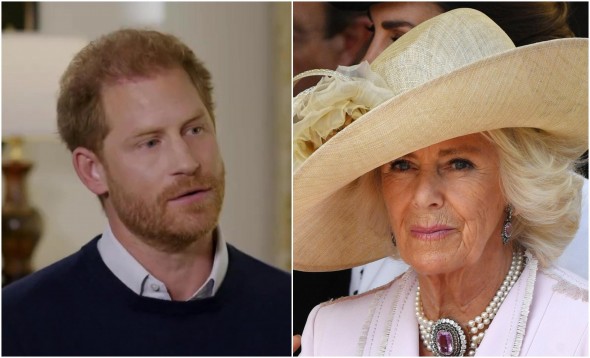 Prinţul Harry, atac dur la adresa mamei vitrege: „Camilla a fost ticăloasă”